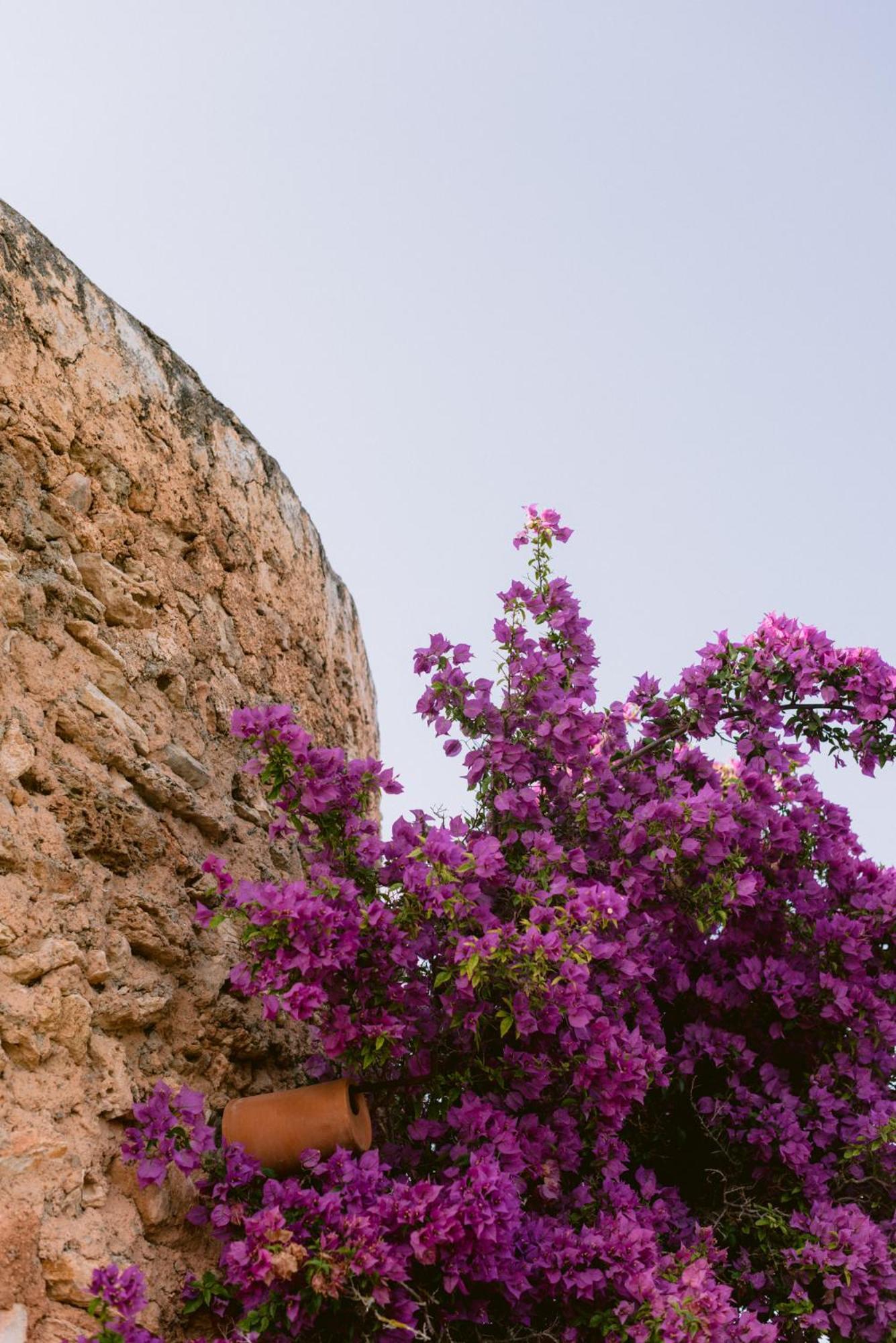 Can Quince Balafia Ibiza Hotel - Turismo De Interior Сан Лоренцо Экстерьер фото